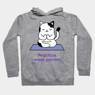 Practice makes purrfect Hoodie